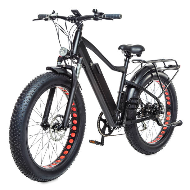 TerraTrail All-Terrain E-Bike